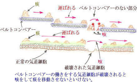 連載童話「たばこ王国」第5回　文・絵:吉田 仁